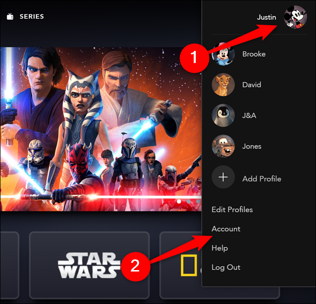 Passe o mouse sobre seu avatar Disney + e selecione a opção "Conta"