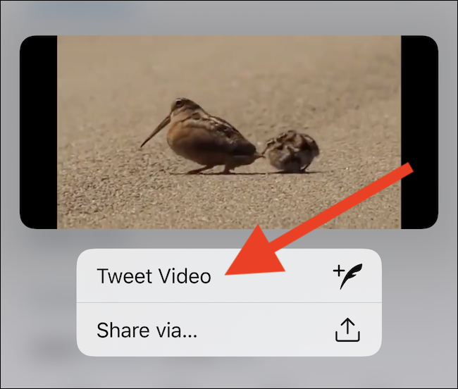Selecione o botão "Tweet de vídeo"