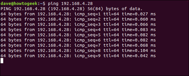 ping 192.168.4.28 em uma janela de terminal