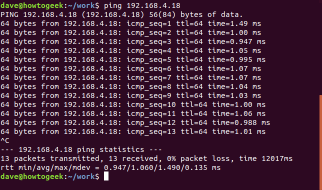 ping in a terminal window