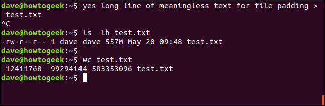 gerando arquivos de teste com janela de terminal sim ia