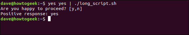 canalizando sim sim para long_script.sh em uma janela de terminal