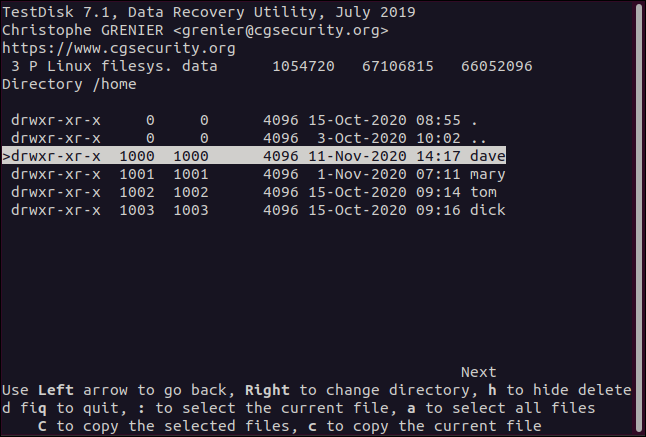 Um diretório inicial em testdisk em uma janela de terminal.