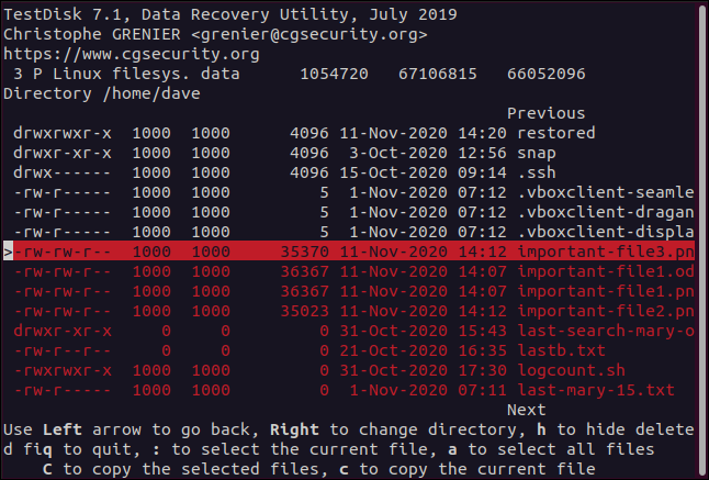 Arquivos excluídos no TestDisk em uma janela de terminal.