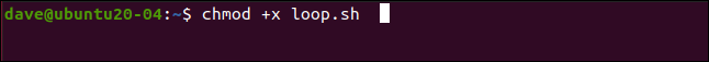 chmod + x loop.sh em uma janela de terminal.