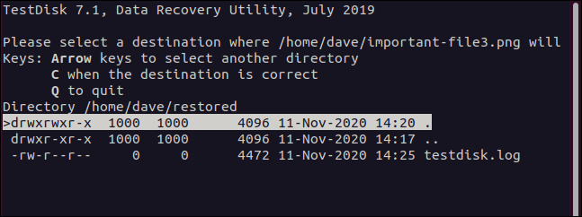 O menu de destino do arquivo no TestDisk em uma janela de terminal.