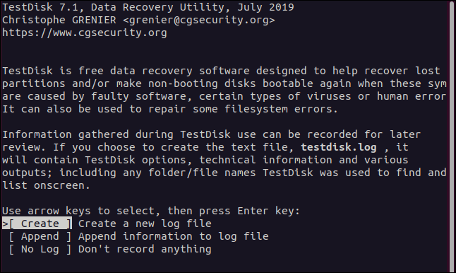 As opções de registro em testdisk em uma janela de terminal.