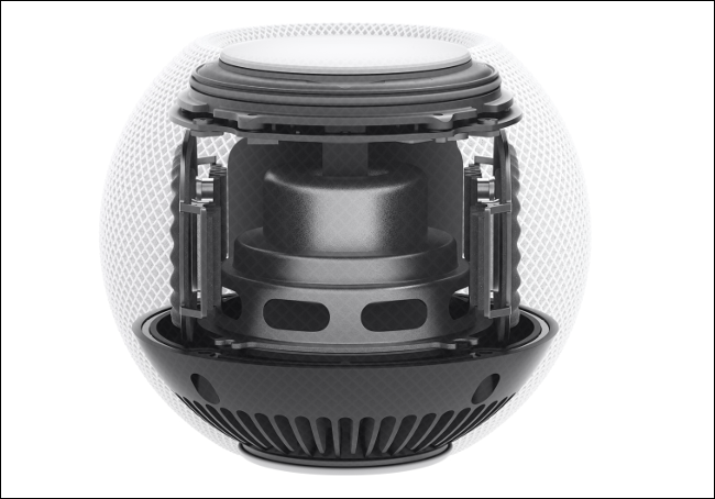 O mini driver HomePod.