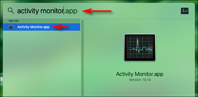 Digite "Monitor de atividade" e pressione Enter. 