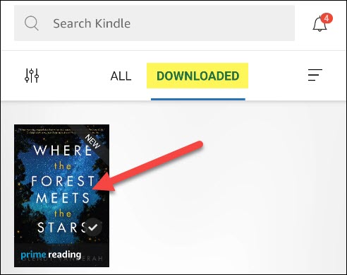 Um e-book na seção "Baixado" no aplicativo Kindle.