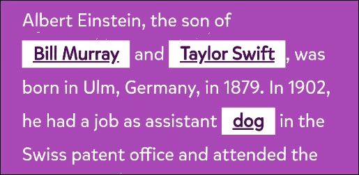 Um trecho de "Mad Libs" no Google Assistente.