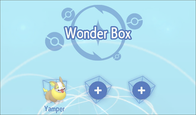 Um personagem chamado Yamper em uma Pokémon Home Wonder Box.