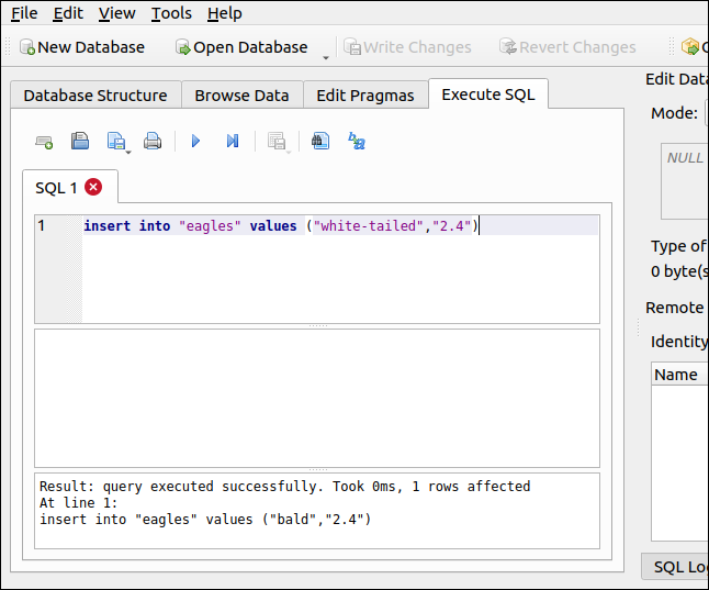 Uma instrução INSERT SQL na guia Execute SQL no DB Browser for SQLite