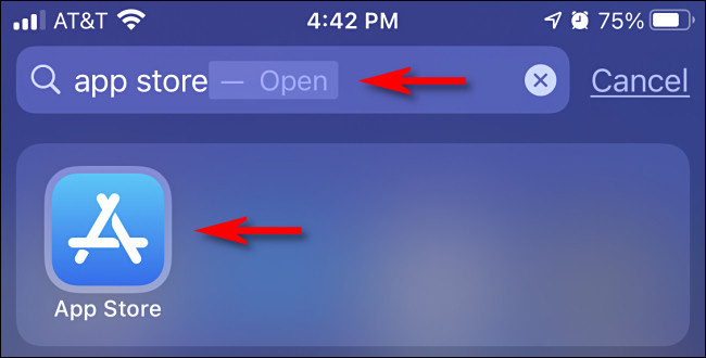 Abra o Spotlight Search e digite "app store" e toque no ícone App Store.