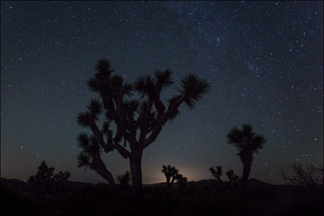 fotos noturnas de paisagens joshua tree