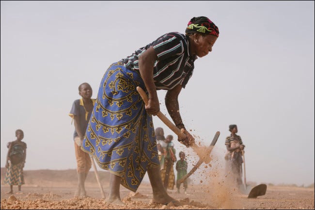 Ecosia está ajudando comunidades pobres de agricultores em todo o mundo