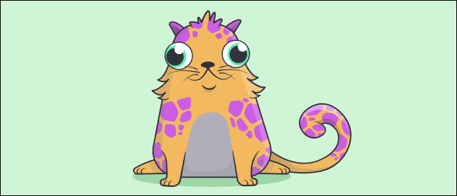 Fundador do CryptoKitty, Cat # 18.