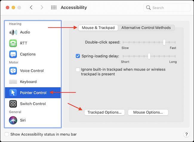 Vá para Opções de Trackpad em Acessibilidade