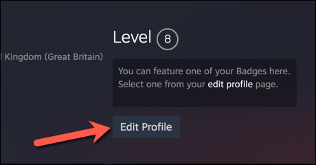 Na página de perfil da sua conta Steam, pressione a opção "Editar Perfil".