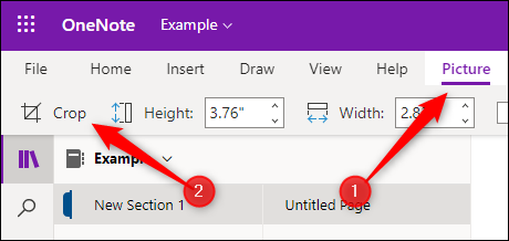 A guia de arquivo e a opção de corte no OneNote para a Web