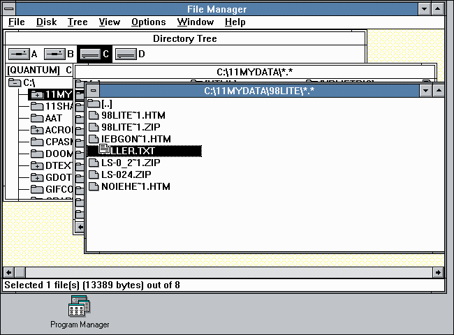 Gerenciador de arquivos em execução no Windows 3.0