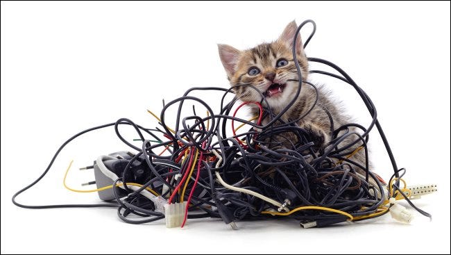 Um gatinho roendo uma pilha de fios.