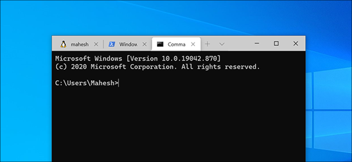 windows terminal bash shell