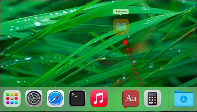 Arraste o ícone de um aplicativo para longe do dock até que diga "Remover" e, em seguida, solte o botão do mouse.