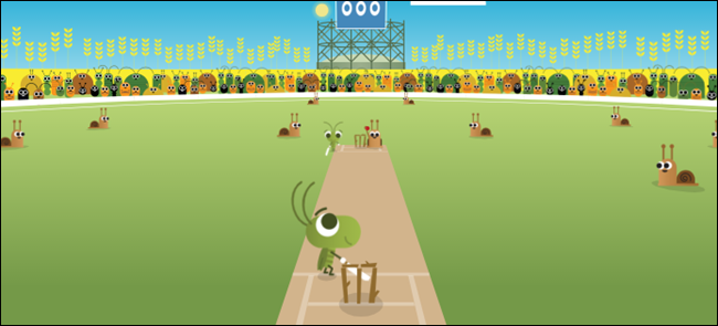 jogo de críquete