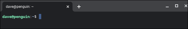 O prompt de comando do ChromeOS Linux