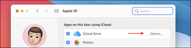 Clique em Opções do iCloud Drive