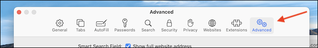 Vá para a guia Avançado nas preferências do Safari