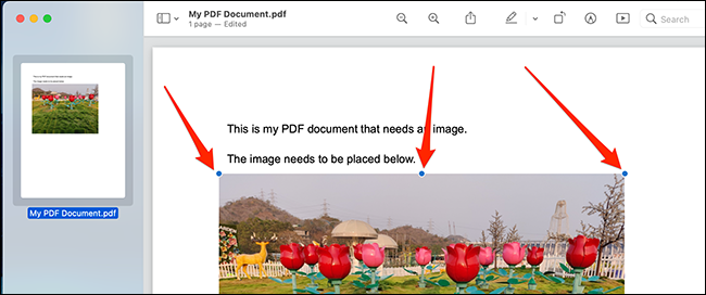 Use as alças de objeto para posicionar e redimensionar sua imagem no arquivo PDF.