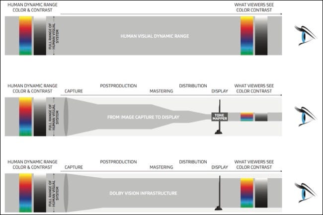 Dolby Vision Infographic