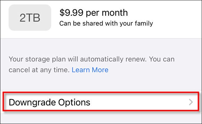 Toque em "Opções de Downgrade".