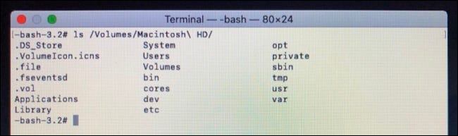 Listar o conteúdo do diretório no terminal