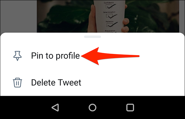 Selecione "Fixar no perfil" no aplicativo móvel do Twitter.