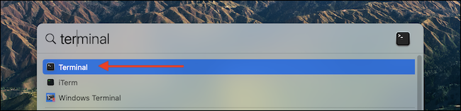 Pesquise e escolha o aplicativo "Terminal" no Spotlight Search.