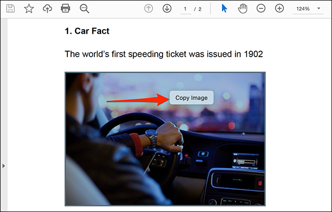 Clique com o botão direito na imagem em um PDF e selecione "Copiar imagem" no Acrobat Reader.