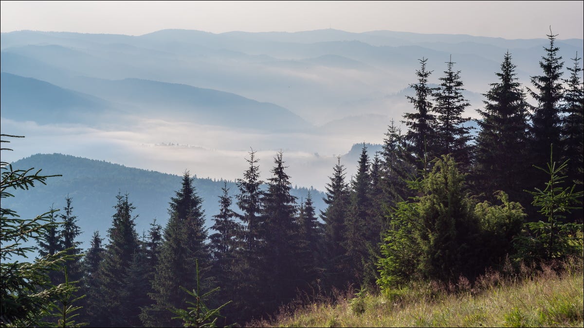 Um vale de floresta nebulosa visto do topo de uma montanha arborizada.