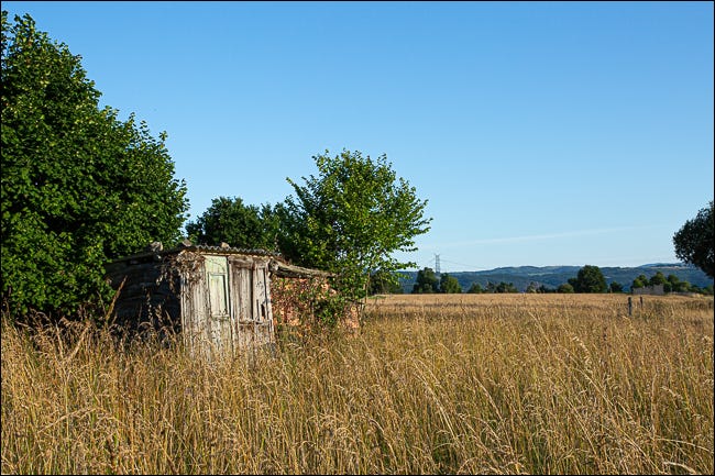 Uma cabana abandonada em um campo coberto de vegetação