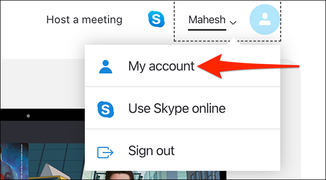 Selecione "Minha conta" no site do Skype.