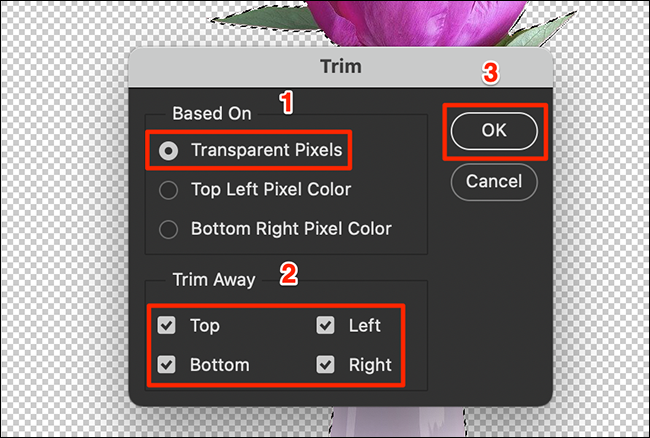 Apare pixels vazios da janela "Trim" do Photoshop.