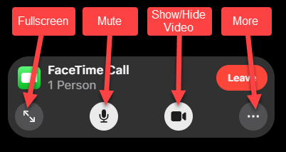 Opções de videochamada, incluindo tela cheia, mudo, mostrar / ocultar vídeo e muito mais.