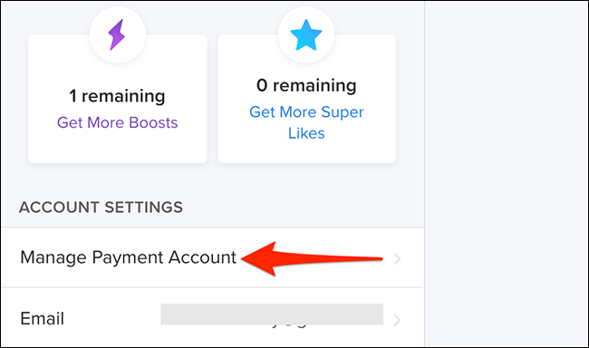 Selecione "Gerenciar conta de pagamento" no menu "Meu perfil" no site do Tinder.
