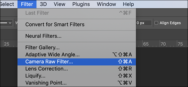 Clique em Filtro> Filtro Camera Raw