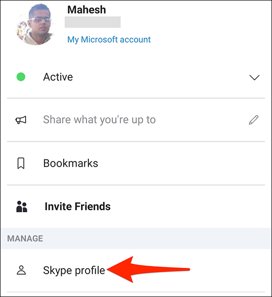 Selecione "Perfil do Skype" no menu do perfil no aplicativo móvel do Skype.