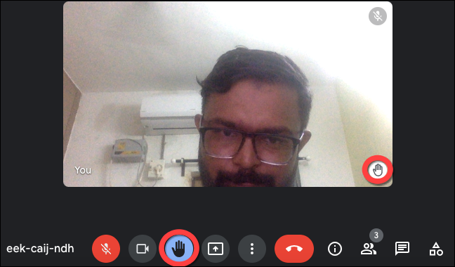 O botão "Levantar a mão" torna-se ativo e se transforma em um botão "Abaixar a mão", e um pequeno botão com a mão levantada aparece no canto inferior esquerdo da visualização do vídeo.