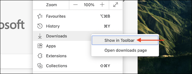 Clique com o botão direito na opção "Downloads" na barra de ferramentas e selecione a opção "Mostrar na barra de ferramentas".