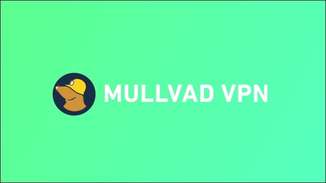 logotipo mullvad em fundo verde